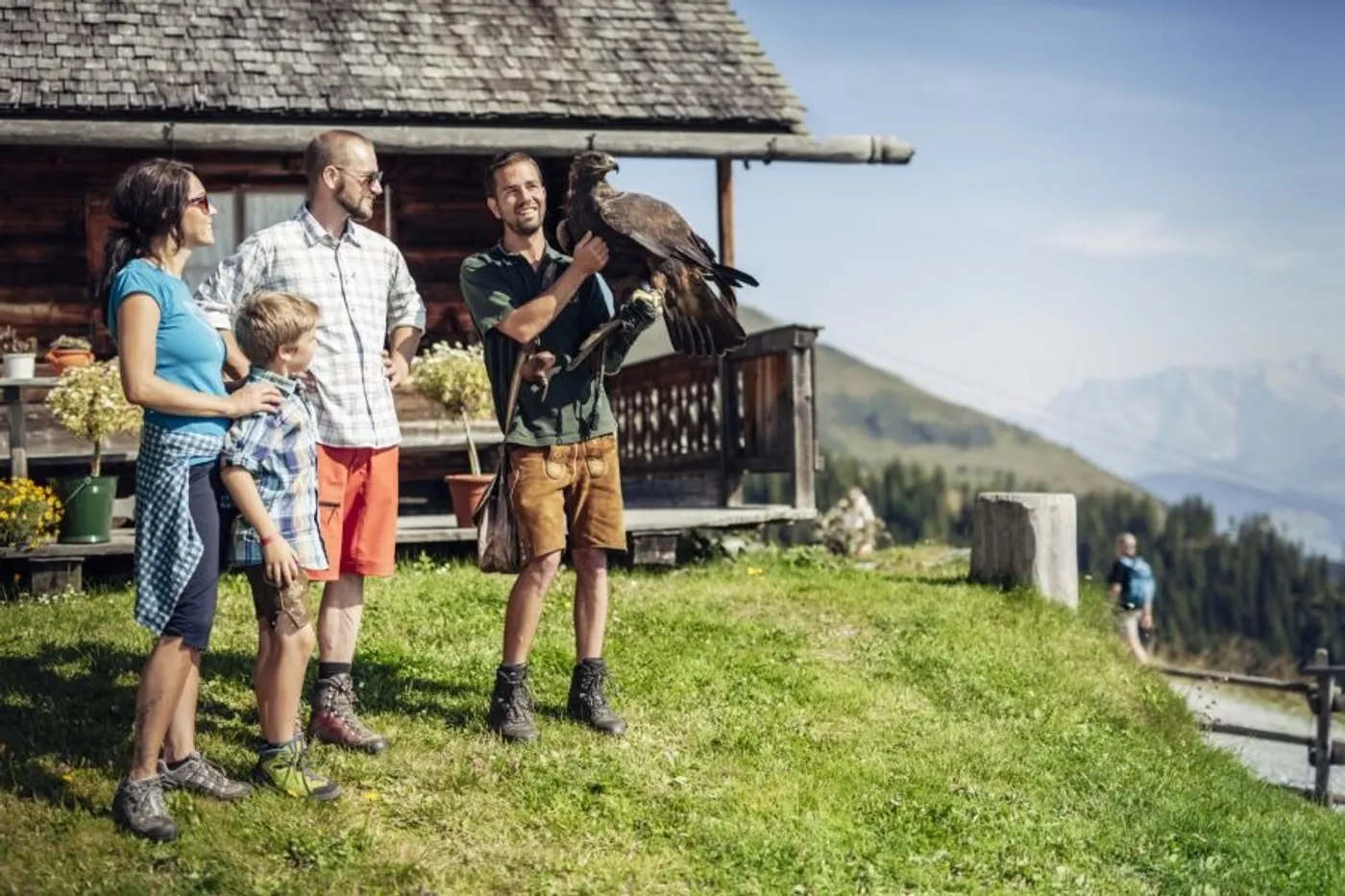 Greifvogelshow Werfen